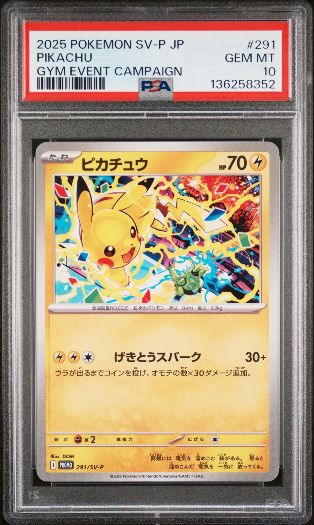 PSA 10 PIKACHU (GYM EVENT CAMPAIGN) — POKEMON JAPANESE SV-P PROMO #291 (2025)
